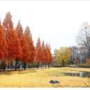 경기도 수원시 팔달구 매산로116번길 네이버블로그