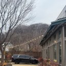 신흥말길1-9 | [서초구 소고기 맛집] 여의도 생고기 내곡점 | 서울 근교 분위기 좋은 고깃집 내돈내산 솔직 후기