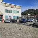 가야생오리 이미지