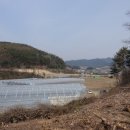 윤종석농장 이미지