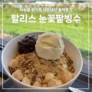 할리스여주교동DI점 | [여주 할리스] 아쉬운 눈꽃팥빙수 싸게 사는 법 니콘내콘 내돈내산 후기