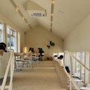 의당 | 공주 메타세콰이어길 가볼만한 곳, 공주 감성 카페 스테이인터뷰 의당 내돈내산 후기!