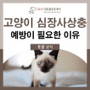 24시연동물의료센터 이미지