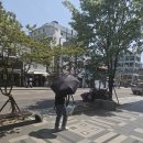 피에르가르뎅 가벼운 양우산 경량 양산 후기