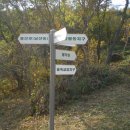 망운산 등산로 이미지