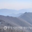 죽령 목장 이미지