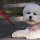 친정공인중개사사무소 이미지