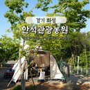 씨유 화성안석점 | 화성 개별화장실 캠핑장 '안석관광농원' 시설 B5 사이트 후기, 글램핑, 바베장도 가능