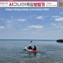 칠포항펜션 | 포항 야유회 추천! 바다 앞 감성숙소 '#1579 펜션' 솔직 후기｜게임·바비큐·수영까지 완벽했던 하루