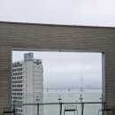 러브리독 이미지