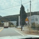 수영가든 이미지