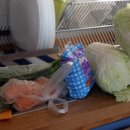 도브민박 이미지