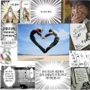 거진항코다리 이미지