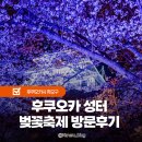 사쿠라 | 후쿠오카 성터 마이즈루 공원 사쿠라마츠리 벚꽃축제 후기 및 입장료 정보