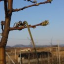 장금농장 이미지