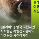 피플스38 이미지
