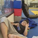 광진코리아유도관 이미지