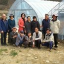 스마일농장 이미지