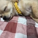 을왕롱비치하우스 이미지