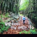 신계숙 담양 죽순회무침, 죽순햄볶음 천렴탕 어죽 이미지