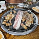 외대갈매기 네이버블로그