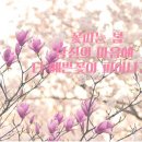 남파랑길 7코스 이미지