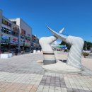 홍성군매안심센터 | [충남 홍성] 서해안 가을 대표 먹거리 대하, 제30회 홍성 남당항 대하 축제(2025년)