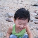 쭌미용실 Daum카페