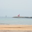 제주 올레길 17코스 이미지