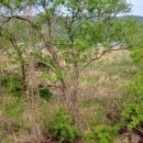 퇴촌한의원 이미지