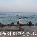 망양리 대게공원 티스토리