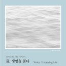 혜윰기획 이미지