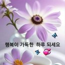 허준의 동의보감 중에서 이미지