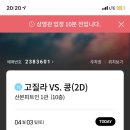콩·붕 이미지