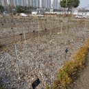 동산숲협동조합 이미지