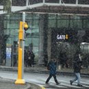 주정차1 이미지