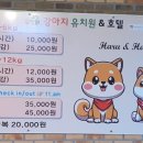 익산애견테마파크 이미지