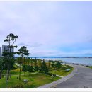 배곧생명공원 이미지