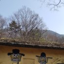 마비정농장 이미지