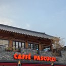 파스쿠찌북대전점 네이버블로그
