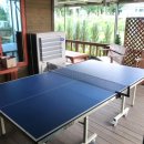 영천새우칼국수 이미지