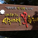 강원도 인제 가을꽃축제 이미지