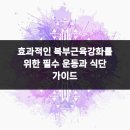 송파삼성탑정형외과의원 | 효과적인 복부근육강화를 위한 필수 운동과 식단 가이드