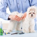 24시 건국 본 동물병원 이미지