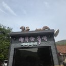 진산자연휴양림캠핑장 네이버블로그