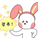 꽃눈스테이
