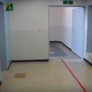 서울가인초등학교 이미지