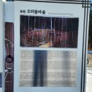 법인도리돌마을