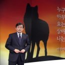 랩독