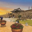 박해목장 이미지